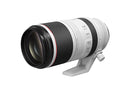 CANON RF 100-500MM F/4.5-7.1L IS USM